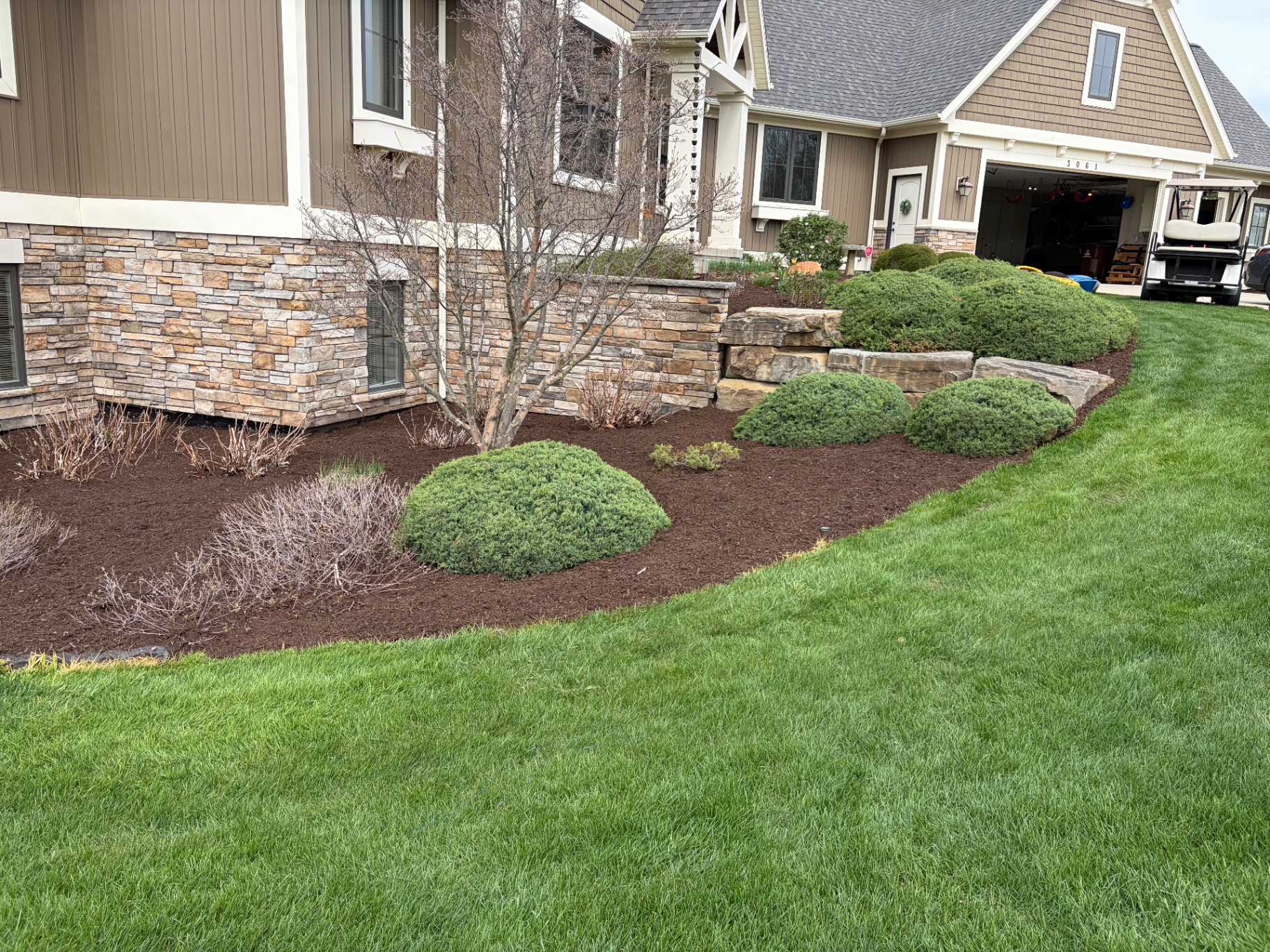 Fresh mulch bed with stonework and trimmed shrubs